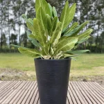 MACETERO MODELO GINEBRA 38x57x44 COLOR NEGRO