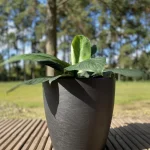 MACETERO MODELO AMSTERDAN 40X45X46 COLOR NEGRO